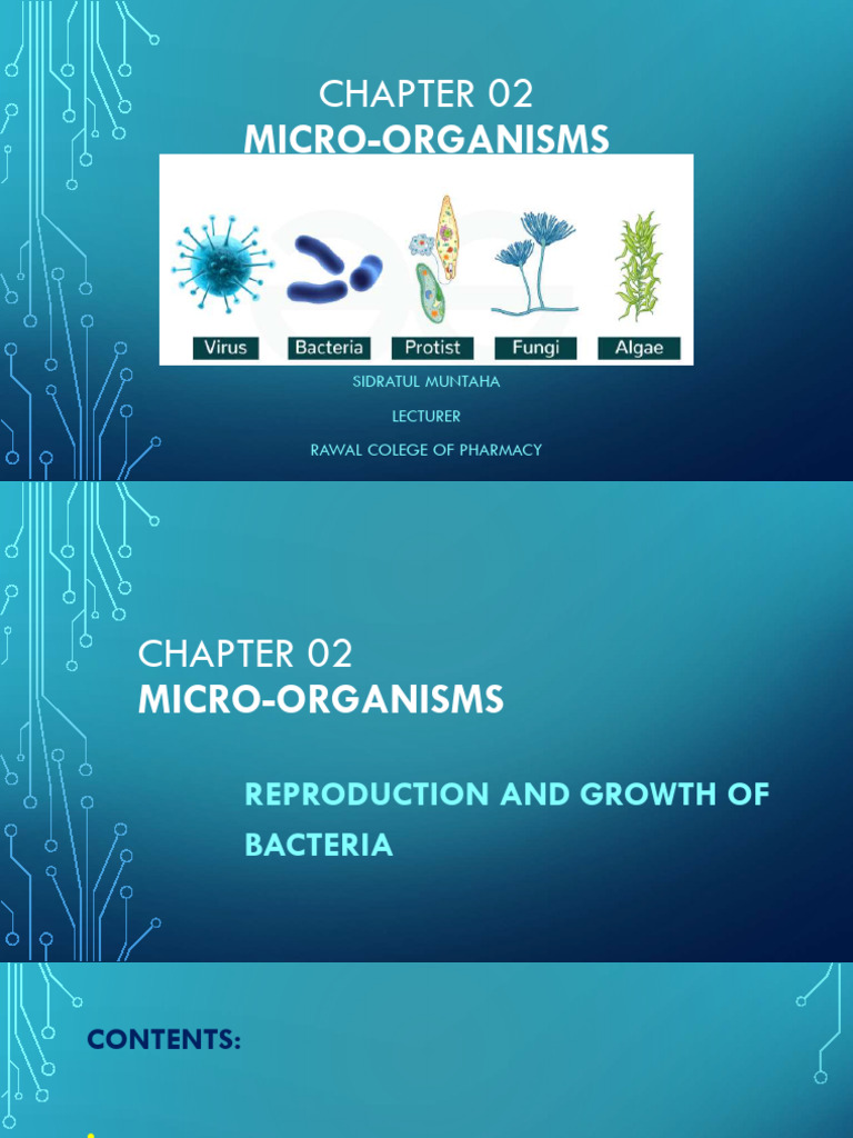 Bacterial Reproduction and Growth Phases | PDF | Citric Acid Cycle ...