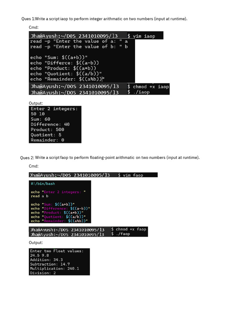 Scripts for Basic Arithmetic and Checks | PDF