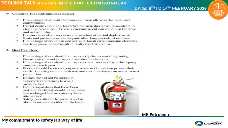 Fire Extinguisher Safety Issues Guide | PDF
