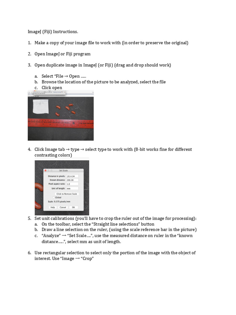 ImageJ Fiji Image Analysis Guide | PDF | Image Processing | Vision