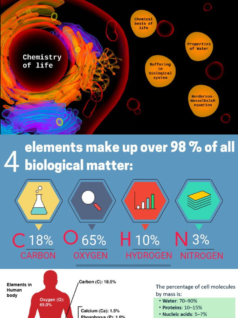 Essential Elements and Bonds in Biology | PDF | Nucleotides | Lipid