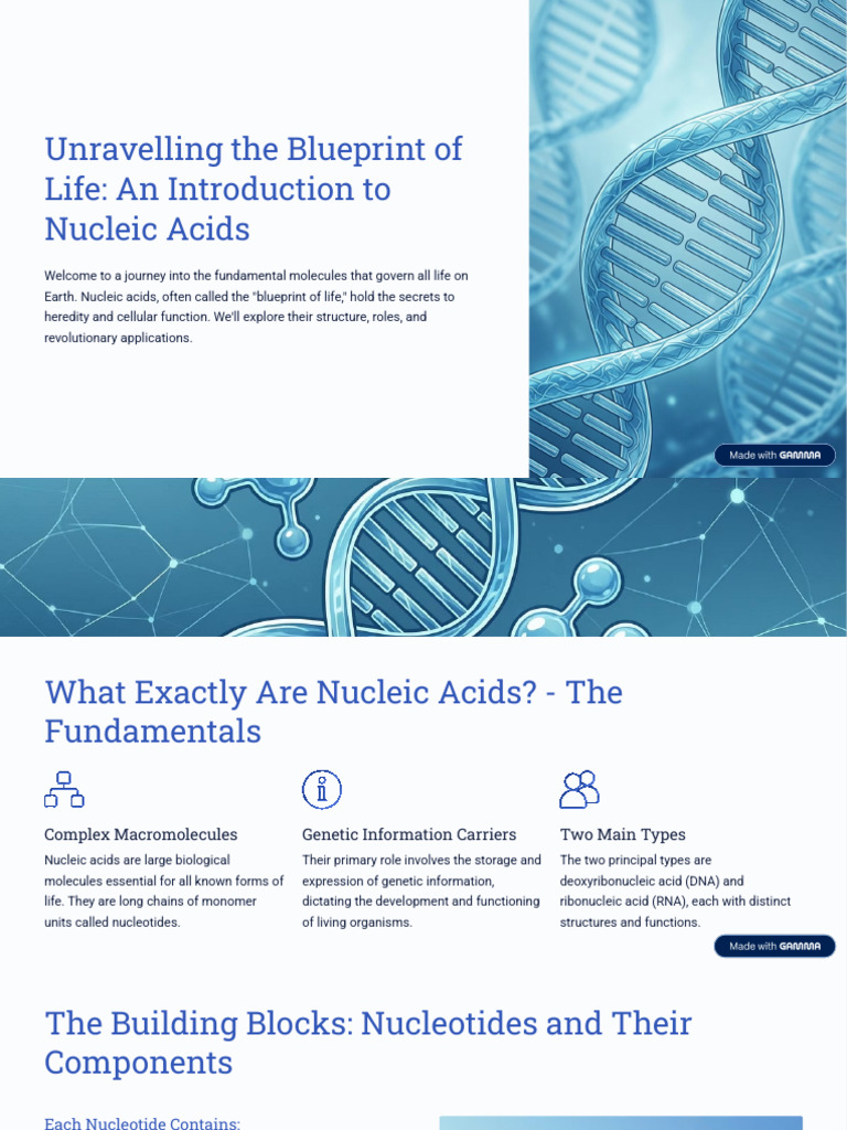 Introduction to Nucleic Acids: DNA & RNA | PDF | Rna | Nucleic Acids