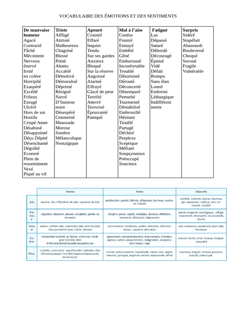 Vocabulaire des émotions et sentiments | PDF