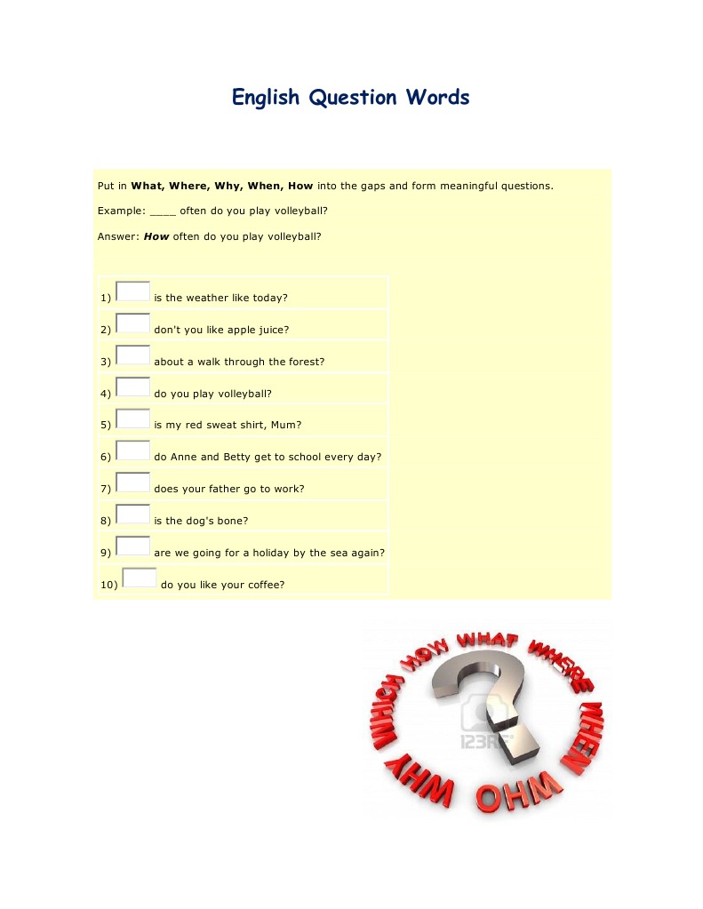 Question Words | PDF