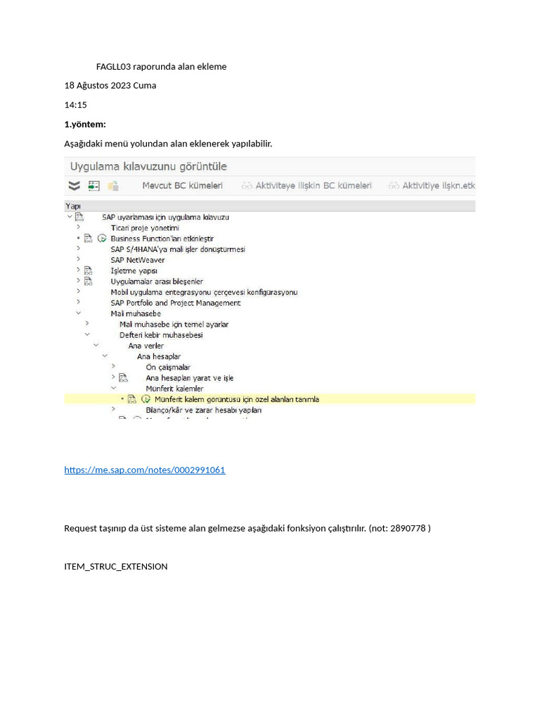 FAGLL03 Raporunda Alan Ekleme | PDF