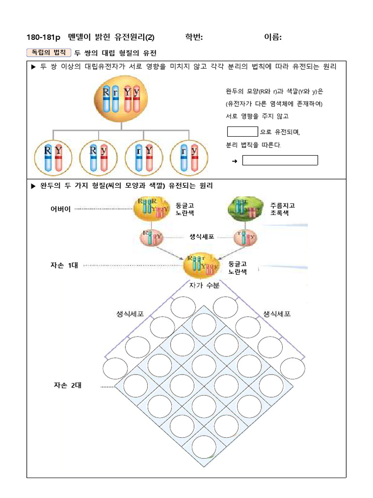 180p 멘델의 유전원리 | PDF