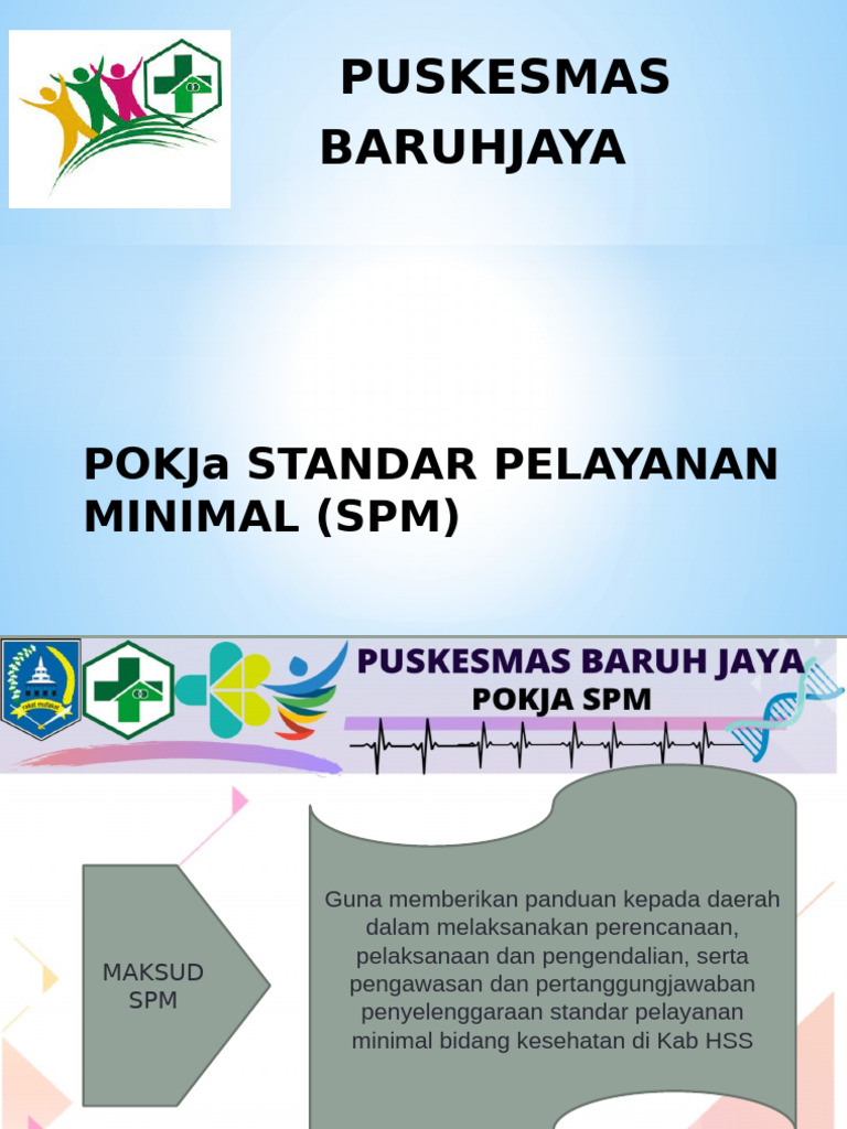 Standar Pelayanan Minimal (SPM) | PDF