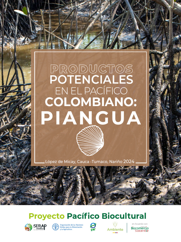 Potencial de la Piangua en el Pacífico Colombiano | PDF | Colombia ...