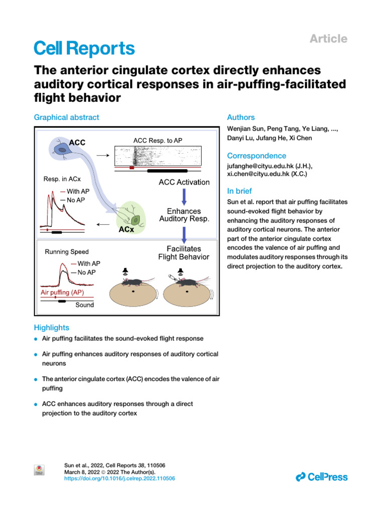 ACC Enhances Auditory Responses in Mice | PDF | Anterior Cingulate ...