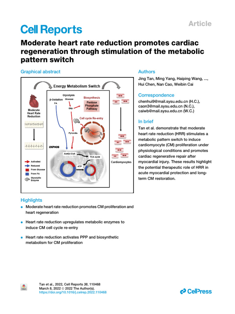 Heart Rate Reduction Enhances Cardiac Regeneration | PDF | Metabolism ...