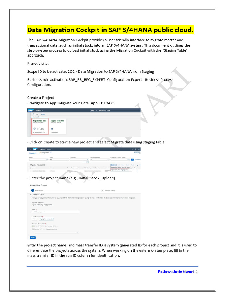 SAP S/4HANA Initial Stock Migration Guide | PDF | Databases ...