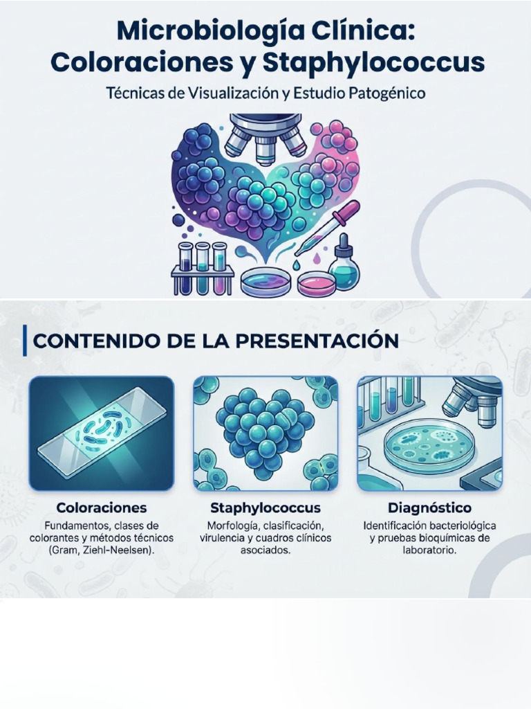 Coloraciones Bacterianas y Staphylococcus | PDF | Microbiología | Biología