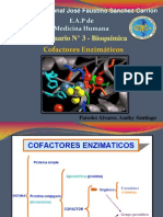 Cofactores Enzimaticos