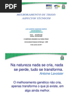 Melhoramento de trigo - aspectos técnicos