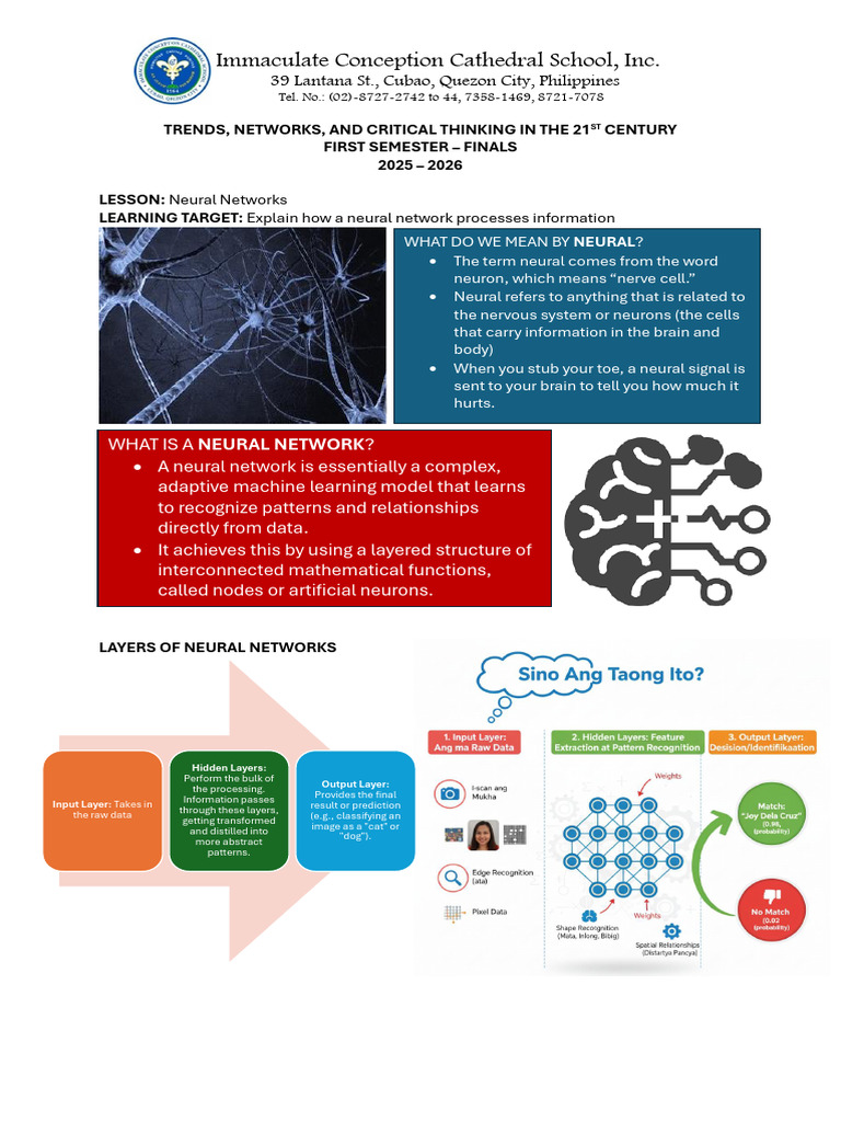 6 - Neural Networks | PDF | Nervous System | Neuron