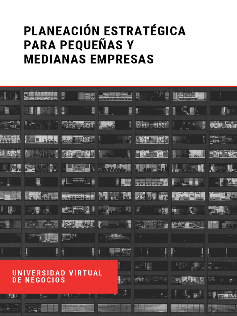 Estrategias de Negocios para PYMES | PDF | Estrategia de inversión ...