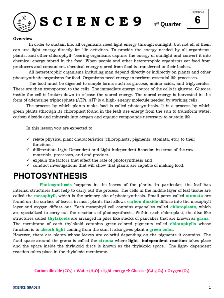 Photosynthesis Overview for Grade 9 | PDF | Photosynthesis | Chloroplast