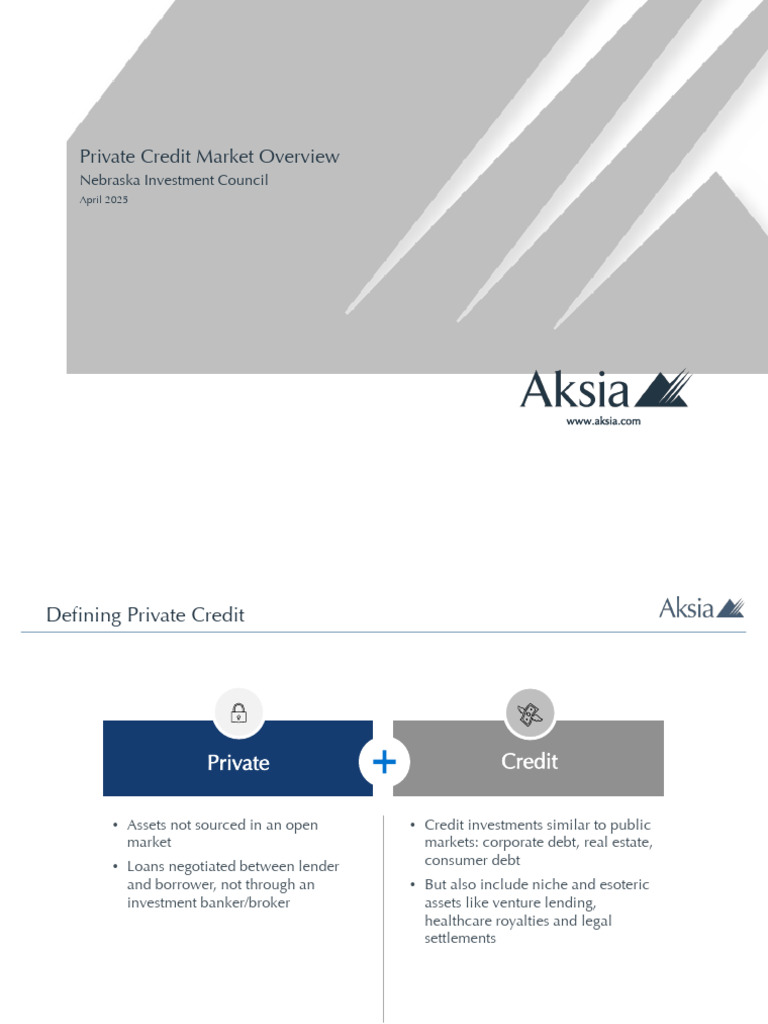 Private Credit Market Overview 2025 | PDF | Loans | Finance & Money ...