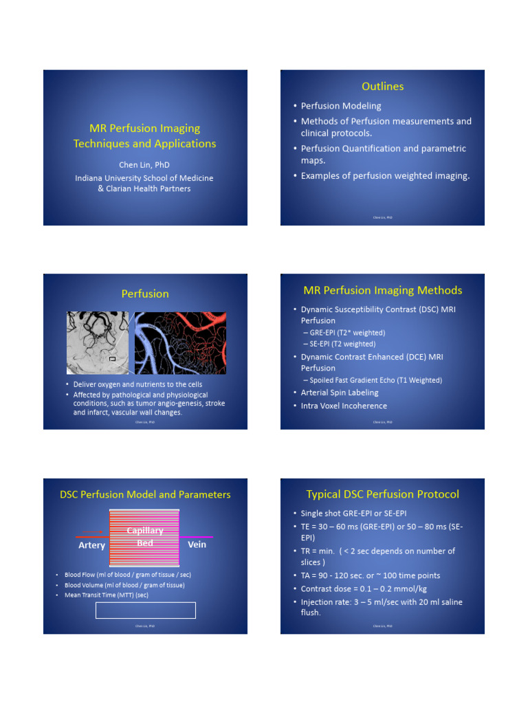 MR Perfusion Techniques and Applications 090714 | PDF | Functional ...