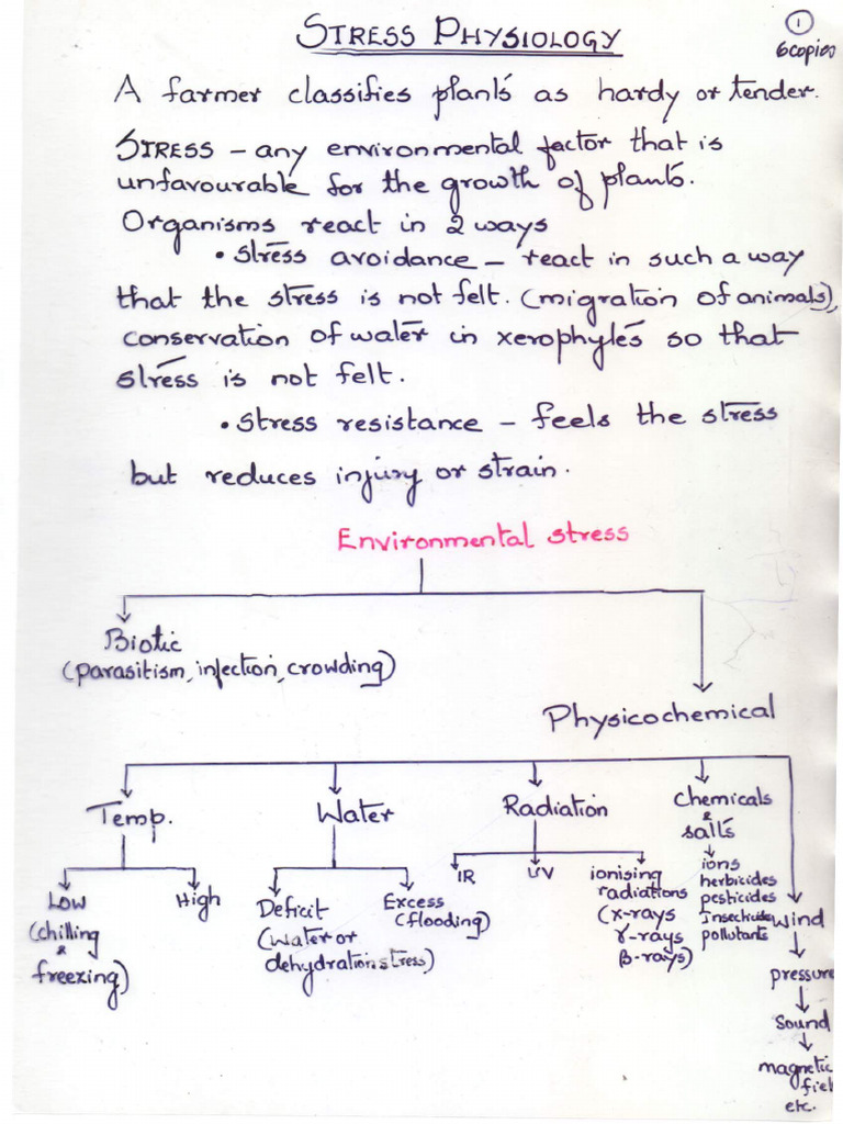 Stress | PDF