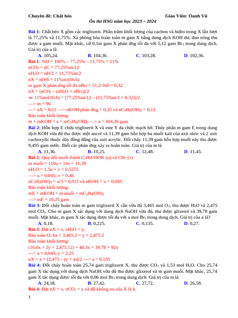 ĐA - Chat Beo | PDF