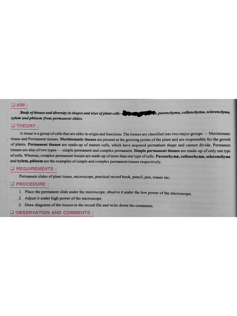 Biology Experiment 6 | PDF