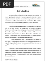 Download Rapport de Stage d Initiation Colaimo212111 by Mohamed Amine Sly SN97840961 doc pdf