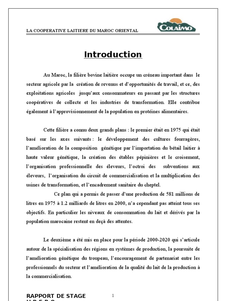 Rapport de Stage d Initiation Colaimo212111