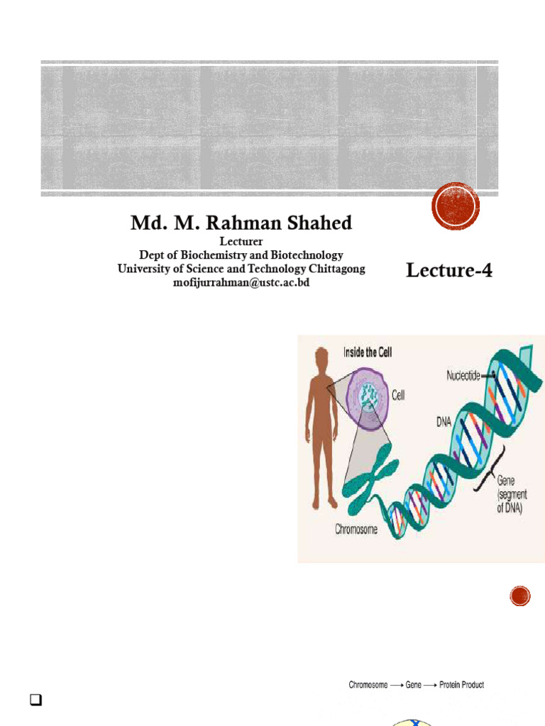 BB-322 Lecture-4 Genetic Disorders | PDF | Genetic Disorder | Genetics