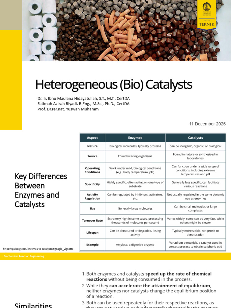 Heterogeneous Bio-Catalysts Overview | PDF | Adsorption | Catalysis