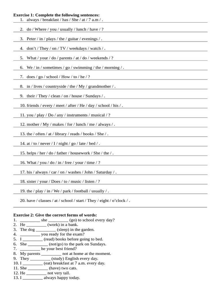 English Grammar Exercises for Beginners | PDF