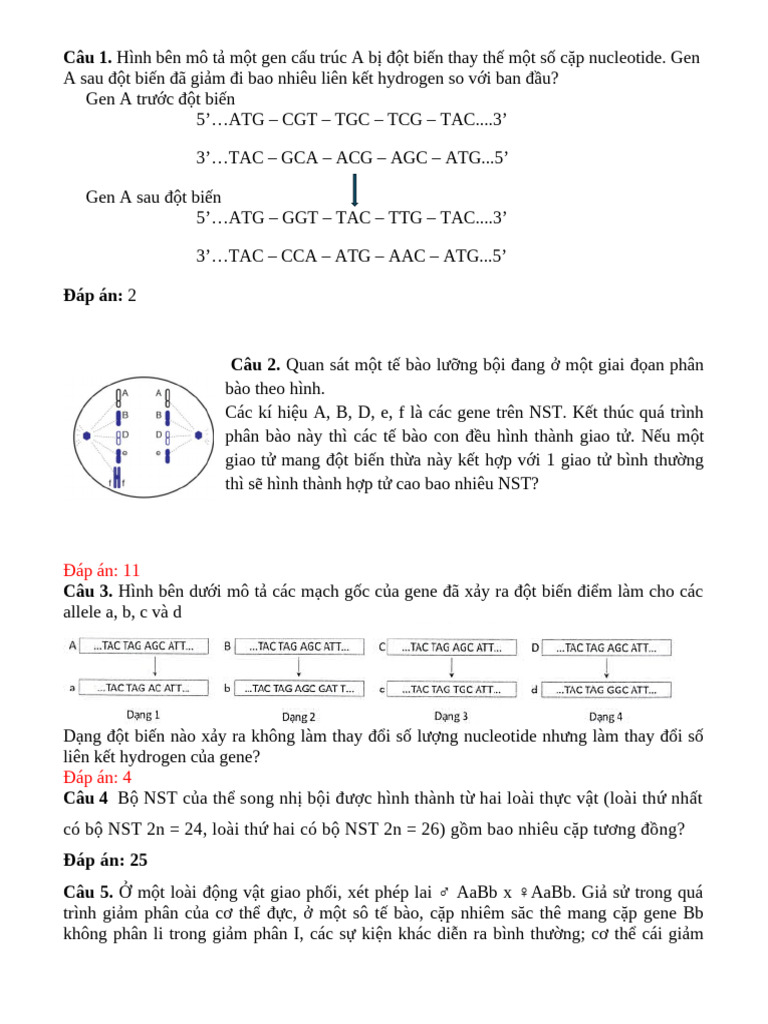 Ade Cuong On Tap Hoc Ki 1 Lop 12 2025 | PDF
