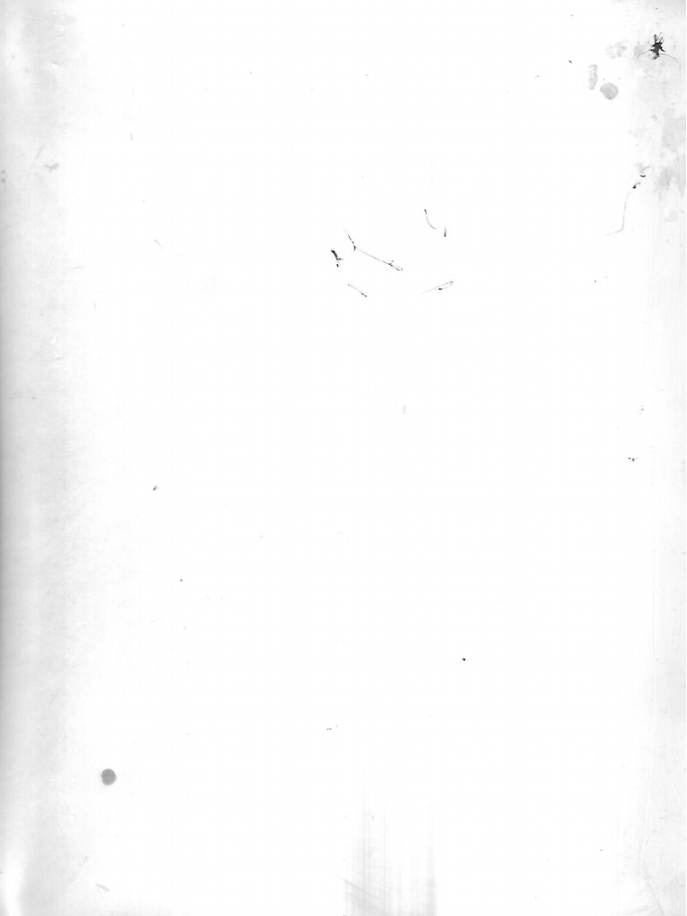 11 | PDF