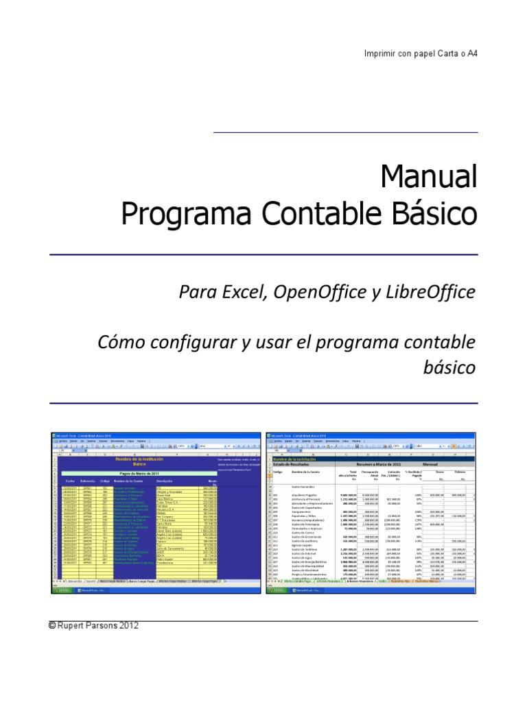 Manual Programa Contable Básico | Contabilidad | Bancos