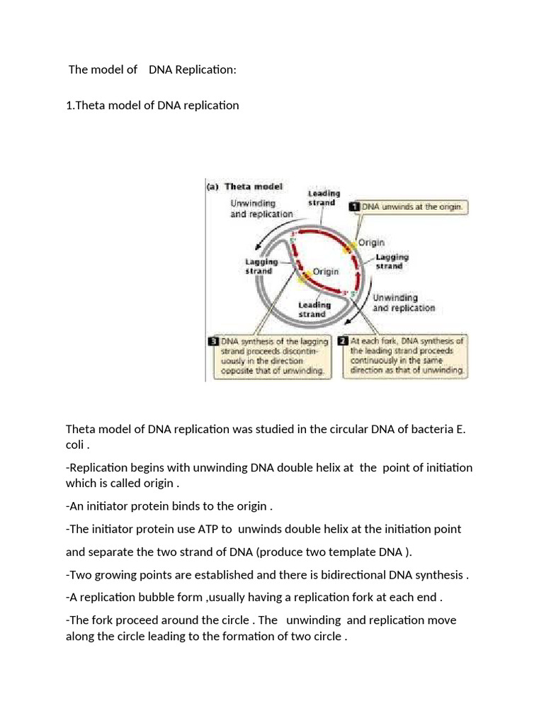 1626761325 | PDF | Dna Replication | Dna