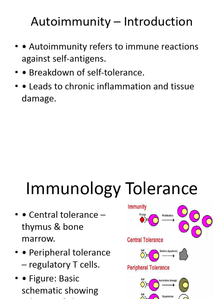 Understanding Autoimmunity: Causes & Treatments | PDF