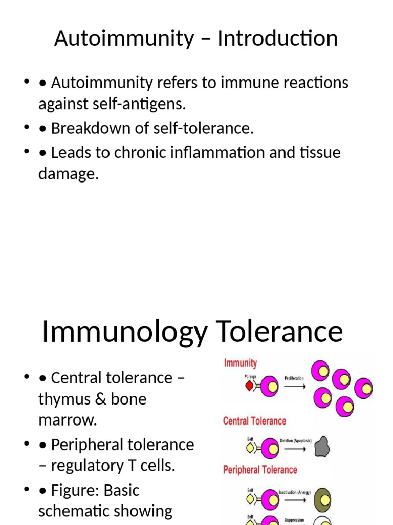 Understanding Autoimmunity and Its Mechanisms | PDF