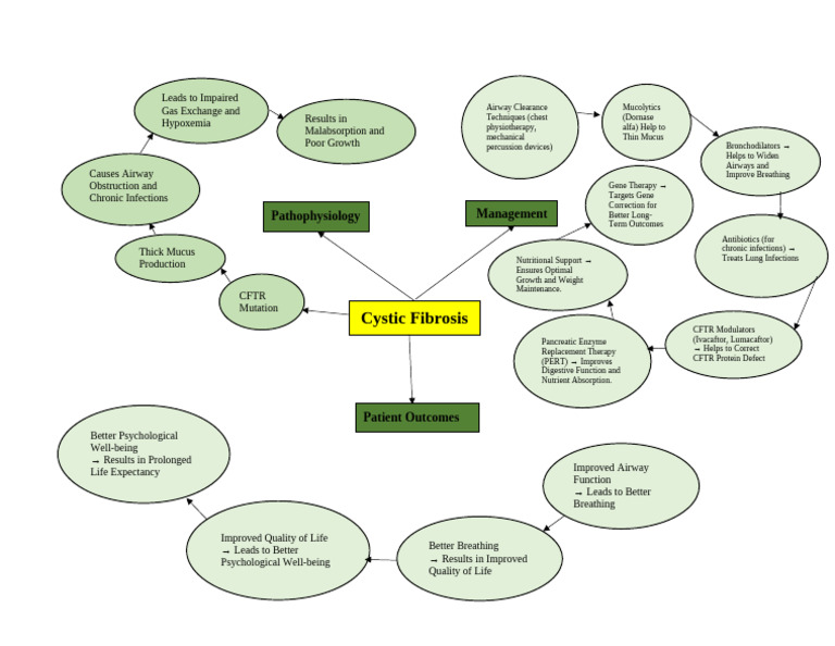 Cystic Fibrosis Flow Chart | PDF | Medical Specialties | Diseases And ...