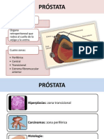 PRÓSTATA