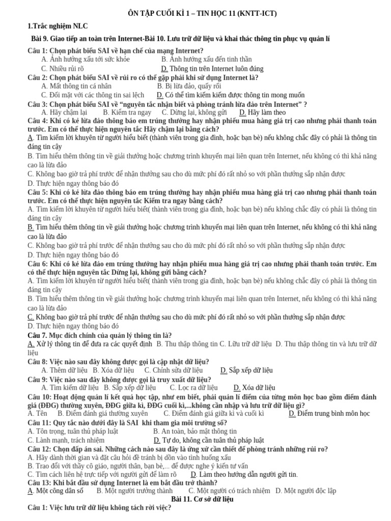 Ôn Tập Cuối Kì 1 Tin 11 | PDF