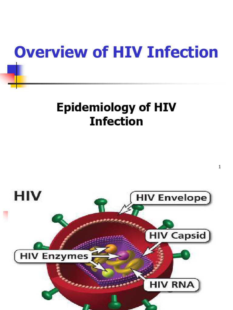 HIV Infection Overview and Epidemiology | PDF | Hiv/Aids | Hiv