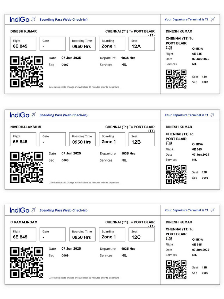 Boarding Pass Onward | PDF