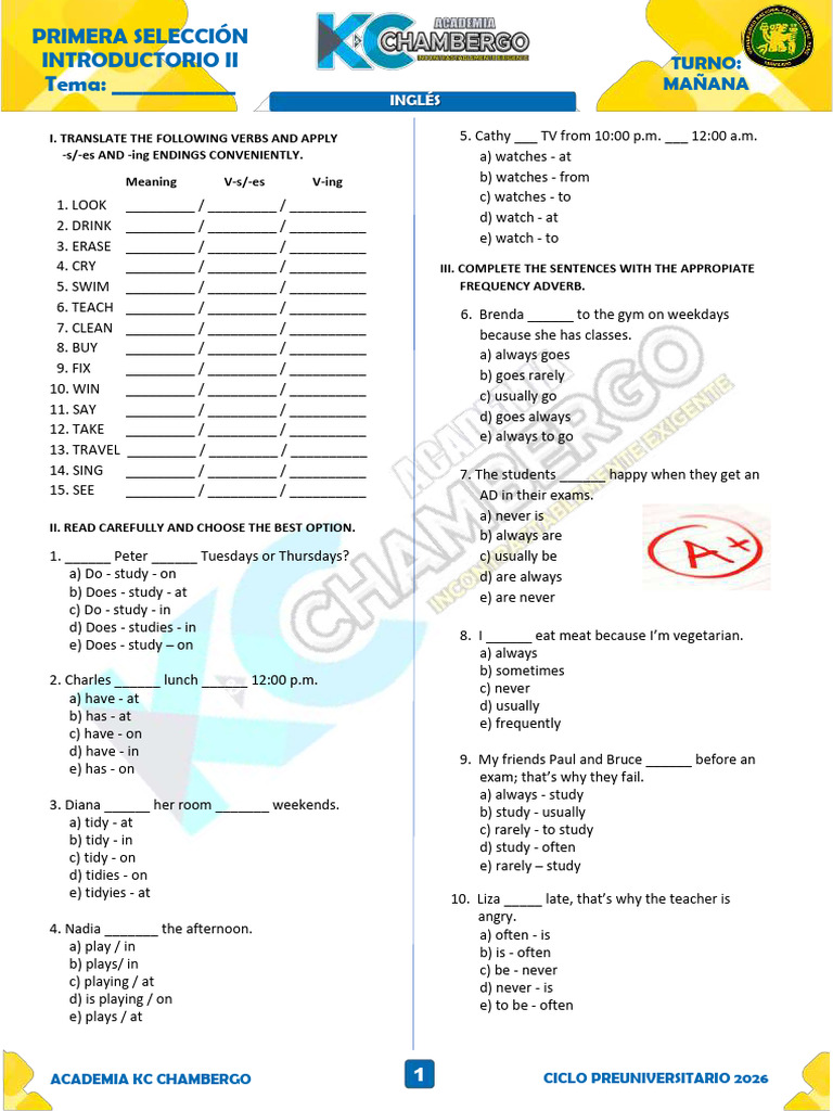 English Grammar Exercises for Beginners | PDF | Linguistics