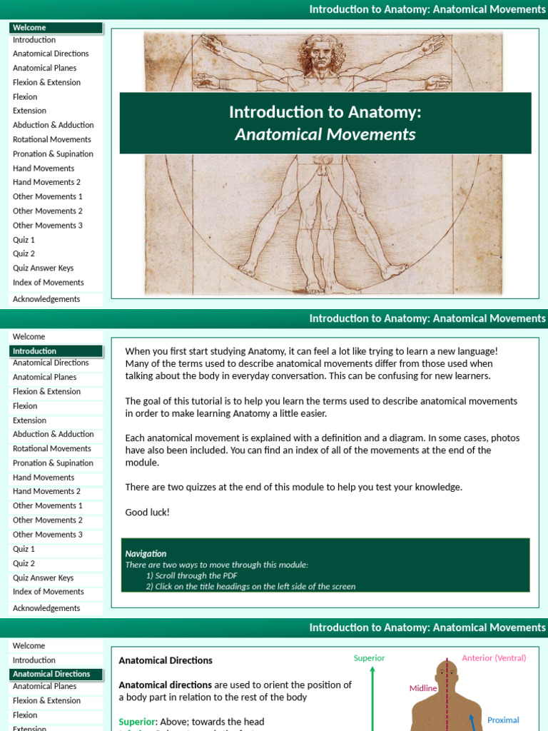 Anatomy of Human Movements Guide | PDF | Anatomical Terms Of Motion ...