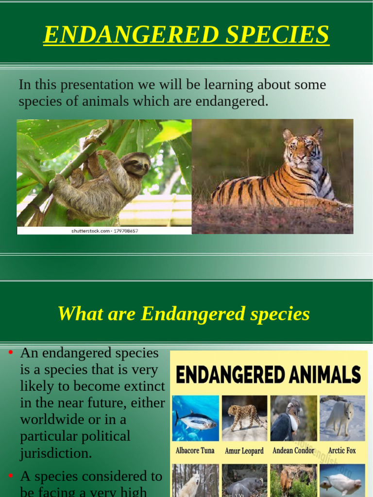 Endangered Species Overview and Solutions | PDF | Endangered Species ...