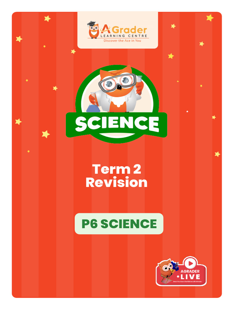 P6 Science Term 2 Revision Questions | PDF | Seed | Germination