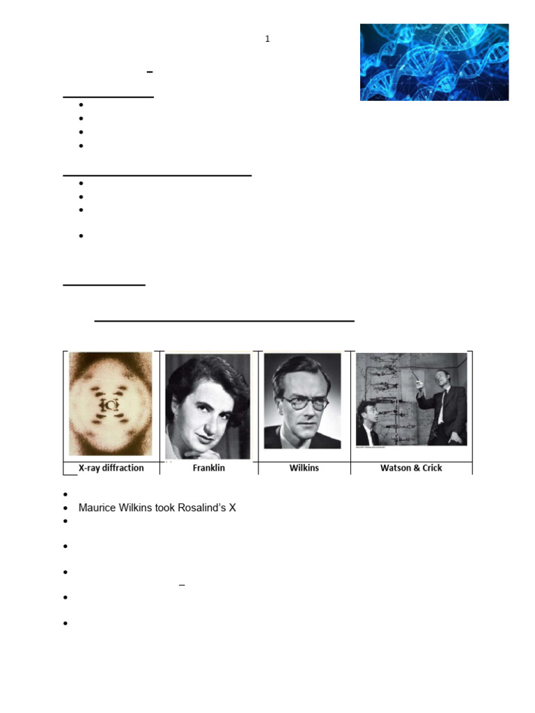 DNA Structure, Function, and Discovery | PDF | Dna | Nucleotides