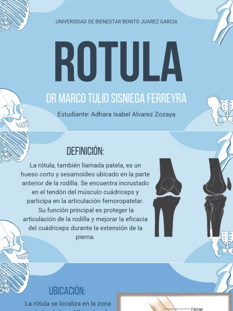 Anatomía y Funciones de la Rótula | PDF