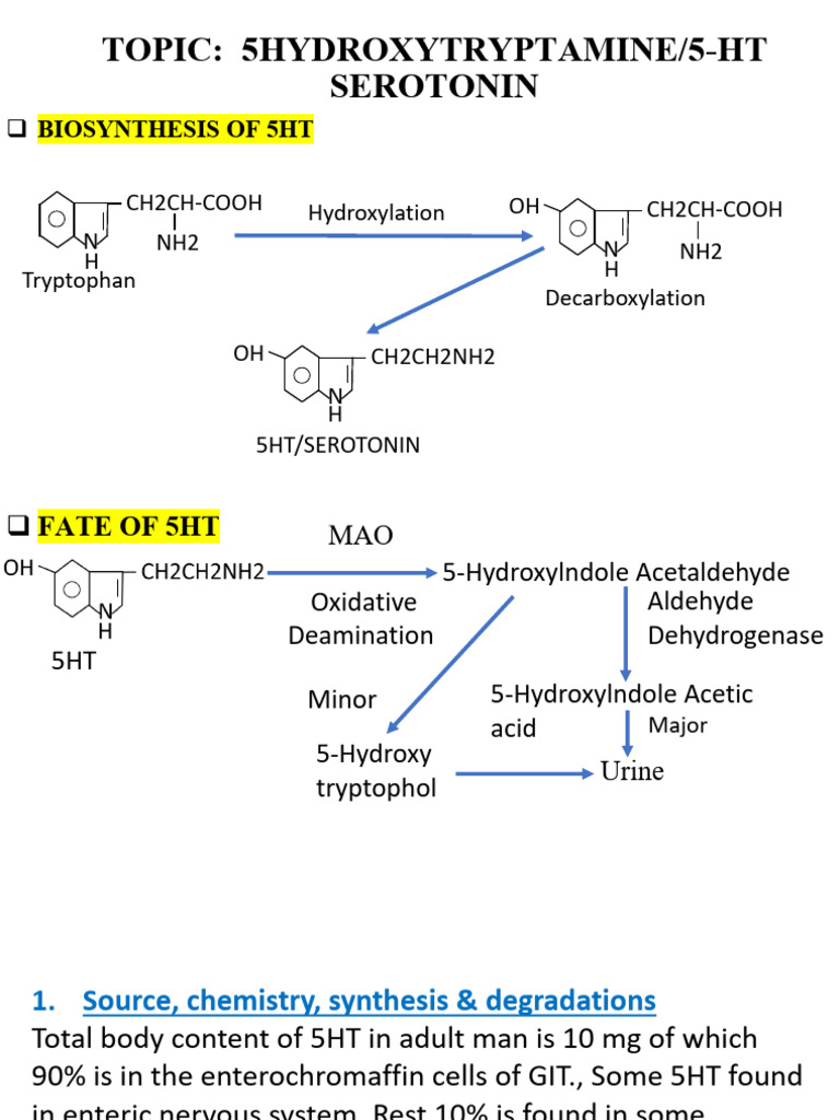 5hydroxytryptamine5 HT Serotonin | PDF | Serotonin | Prostaglandin