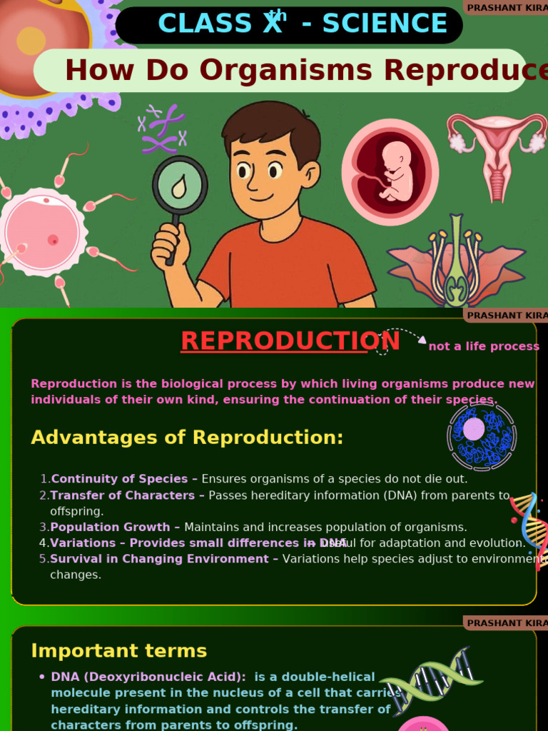 New Science | PDF | Flowers | Reproduction